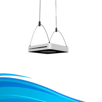 Supension kit for Aqua Pro